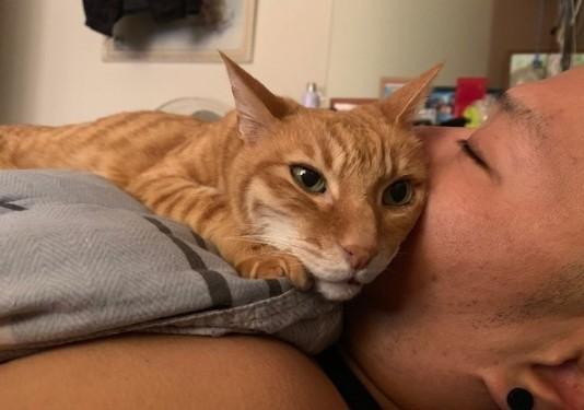 梦见自己全身长毛是什么意思