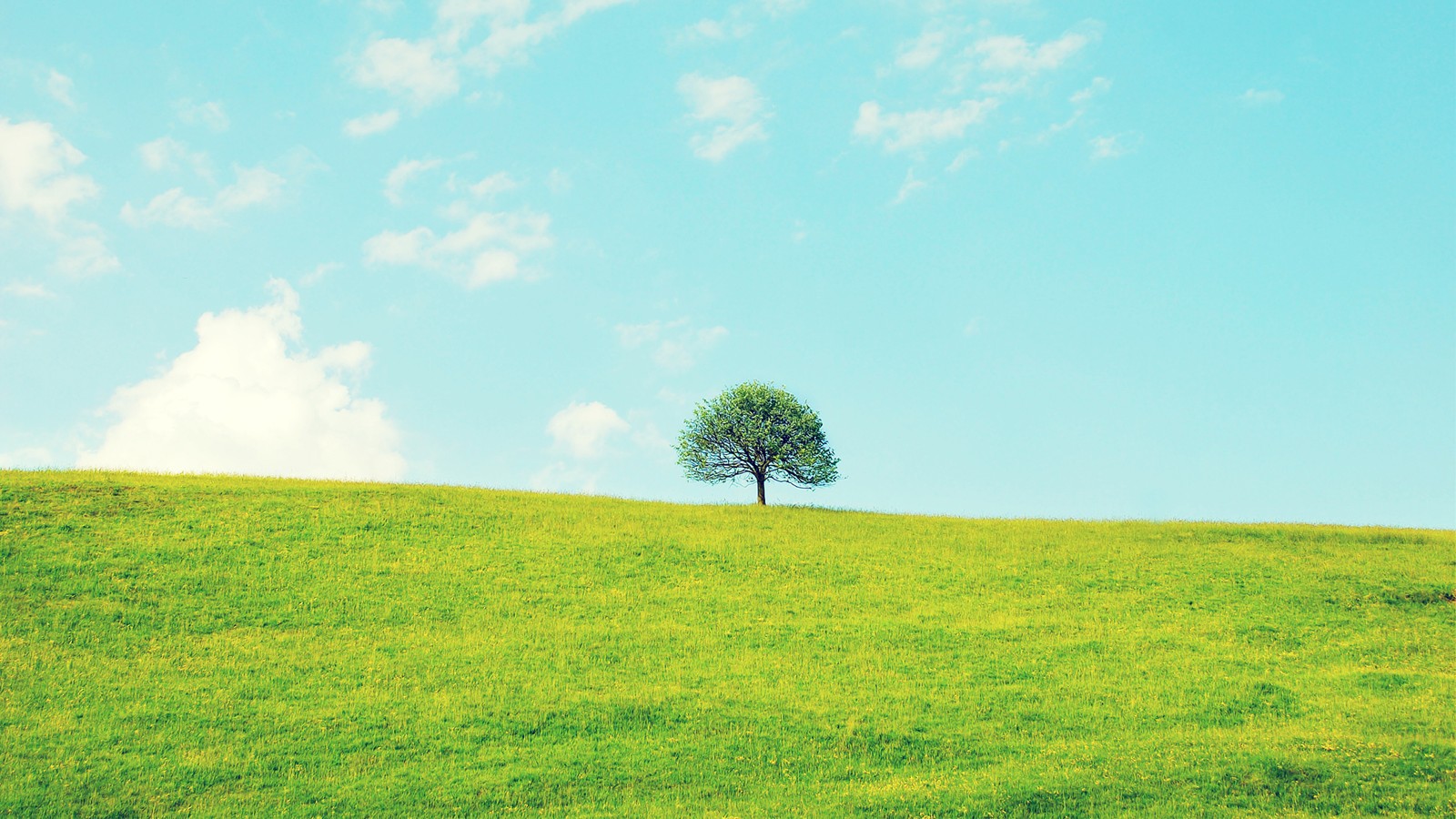 梦见被斩掉头是什么意思