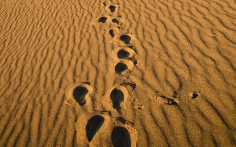 梦见在沙地睡觉是什么意思