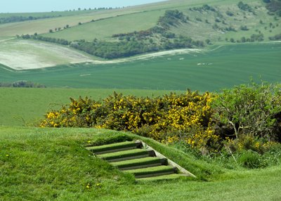 梦见自己被压死了是什么意思