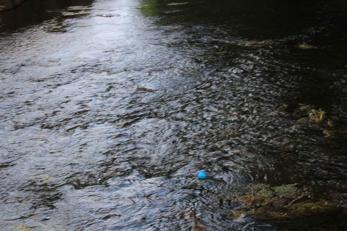 梦见鞋掉到河里是什么意思