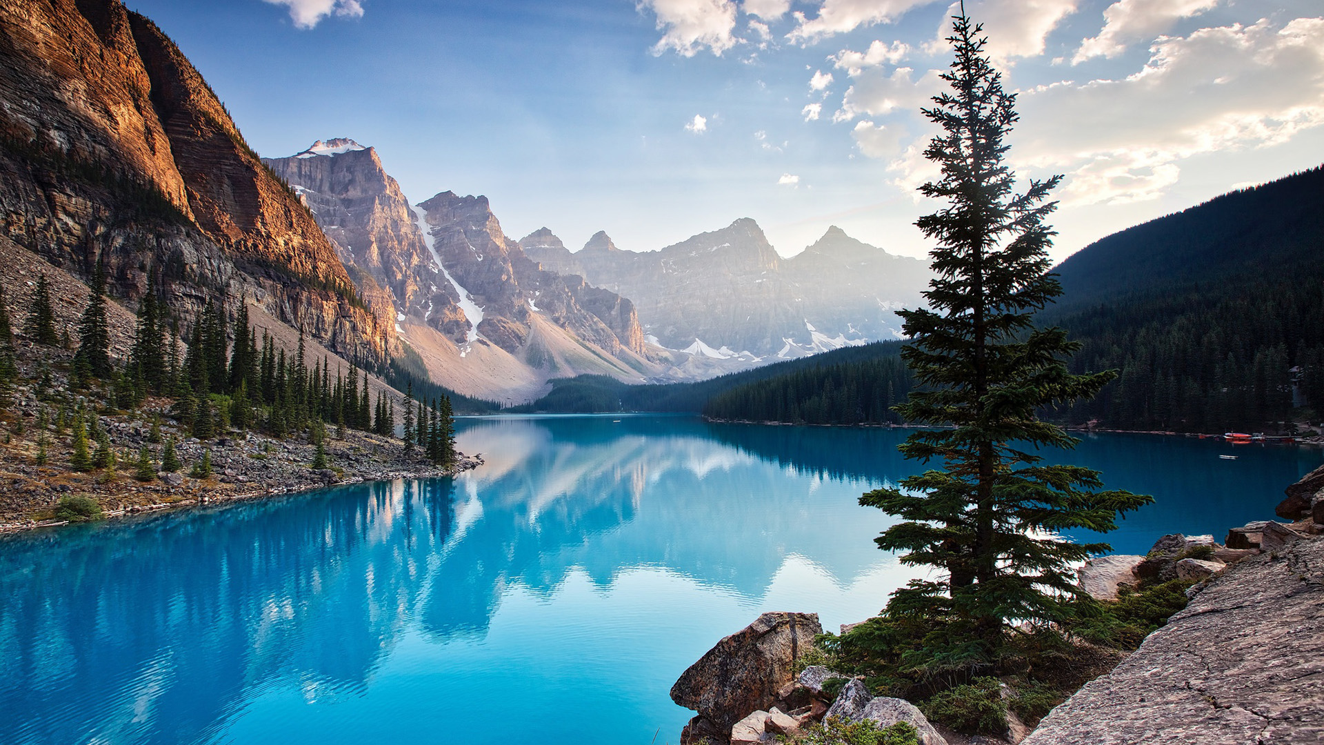 梦见死人拉我是什么意思