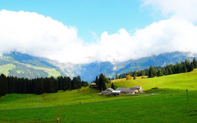 梦见被尿到身上是什么意思