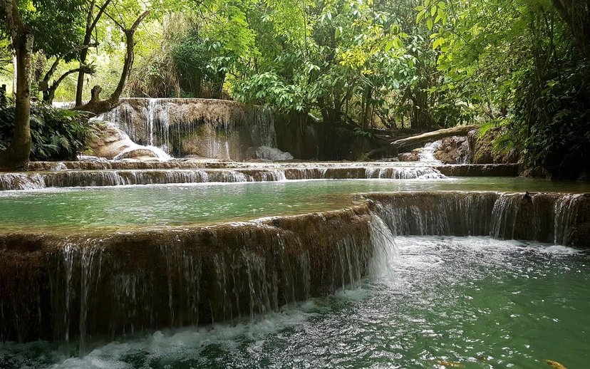 梦见自己的生殖器掉了是什么意思