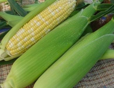 梦见别人送自己玉米是什么意思