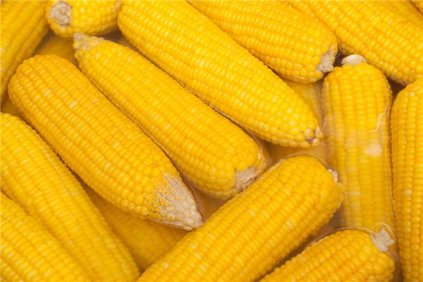 梦见玉米棒子是什么意思