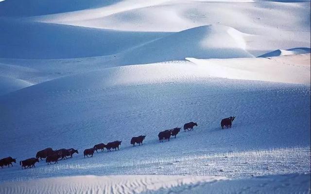 梦见去错地方是什么意思