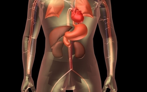 梦见器官被割是什么意思