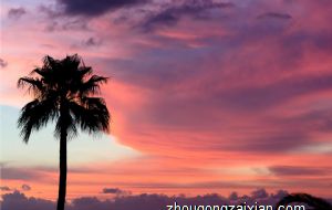 属鸡的人遇到哪些属相会好运或倒霉