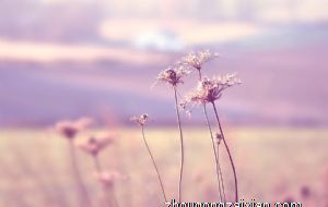 2021年贵人运好的生肖 2021年有贵人相助生肖