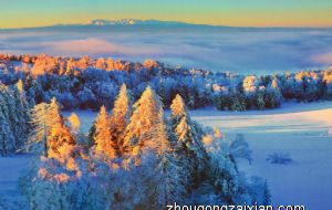 属羊的今年的财运如何 属羊人2022年财运方位