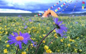 属牛找对象找多大的好 和什么类型的人是天生一对