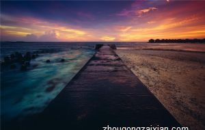 属鸡的遇到虎年运气怎么样 “暴败”干扰财运糟糕