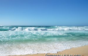 属鸡在哪年财运最旺 2026年得财神眷顾发大财