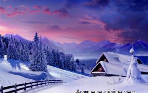 十鸡九苦大金鸡最命苦是真的吗 有什么说法