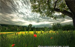 2021年12月份生肖虎的财运好吗 财运走势一路向上