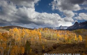 属蛇的2022年是不是犯太岁 刑太岁下凶星齐犯影响整年运势