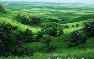 2021年12月生肖羊的事业运势旺么 事业运低迷