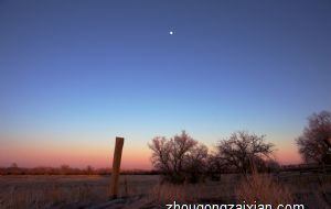 2021年12月份的生肖羊的财运旺不旺 财运动荡不安
