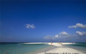 2021年12月份的生肖龙的财运如何 运势起伏不大