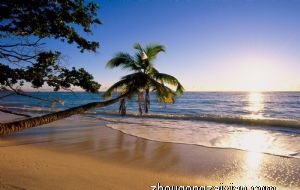 2022年属鼠的结婚大利月 属鼠结婚利月是几月