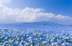 2022年属牛人有几个吉星 三大吉星协助带好运