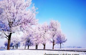 2021年12月份生肖猴的事业运好吗 工作效率不高