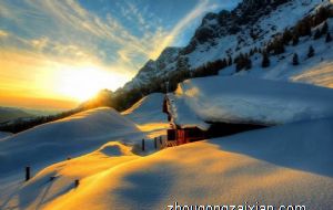 2021年12月份生肖狗的事业运好不好 事业表现不佳