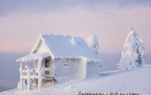 2021年12月份生肖狗的财运旺么 财运好赚钱机会多