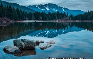 属蛇2021下半年运势及运程 得偿所愿值得期待