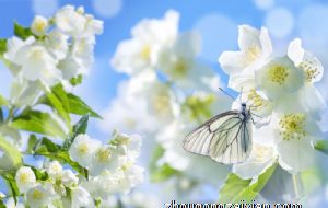 2021年12月生肖蛇的财运怎么样 运势一路高升