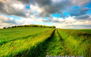 2021年12月份生肖马的事业运好么 运气越来越好