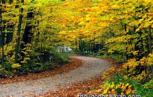 属蛇几月出生大富大贵 四月出生富足安乐