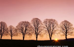 天生富贵命的三大生肖 财运亨通收入上涨