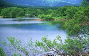 桃花泛滥 爱神降临 在本月重新找回爱情的生肖