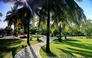 属猪的富豪出生在几月 几月猪能够赚大钱