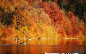 属猪几月生是一等命 三月猪命格不错有贵人扶持