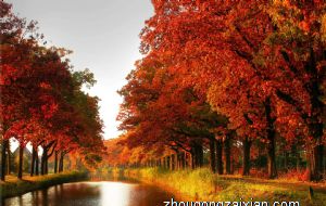 2022年属兔的结婚大利月 属兔结婚利月是几月