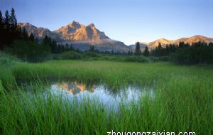 属兔的今年的财运如何 属兔人2022年财运方位