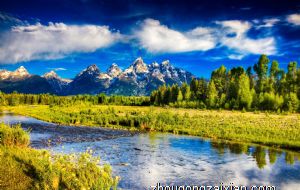 2022年属牛的结婚大利月 属牛结婚利月是几月