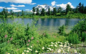 2022年属龙的结婚大利月 属龙结婚利月是几月