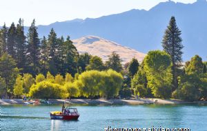 2021年11月的生肖羊的财运旺吗 财运差收益微薄