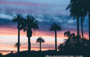 2022年属羊适合换工作吗 财运如愿以偿