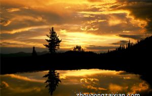 十二生肖最没有福气的生肖 成熟稳重的属牛人