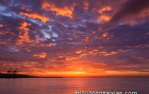 12月 横财不断 工作事业红红火火 喜事临门的生肖