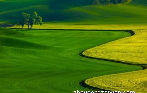 一辈子超好命的生肖 热情大方的生肖鼠