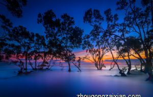 属猪2022年桃花运如何 什么时候桃花旺