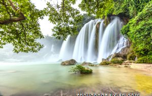 2022年生肖猴的凶星有哪些 关系不和矛盾频繁