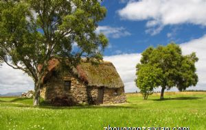 综合能力最强的生肖女 思维灵活的生肖蛇