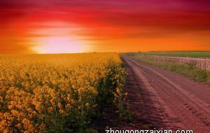 实力强的可怕的生肖女 善良大方的属龙女